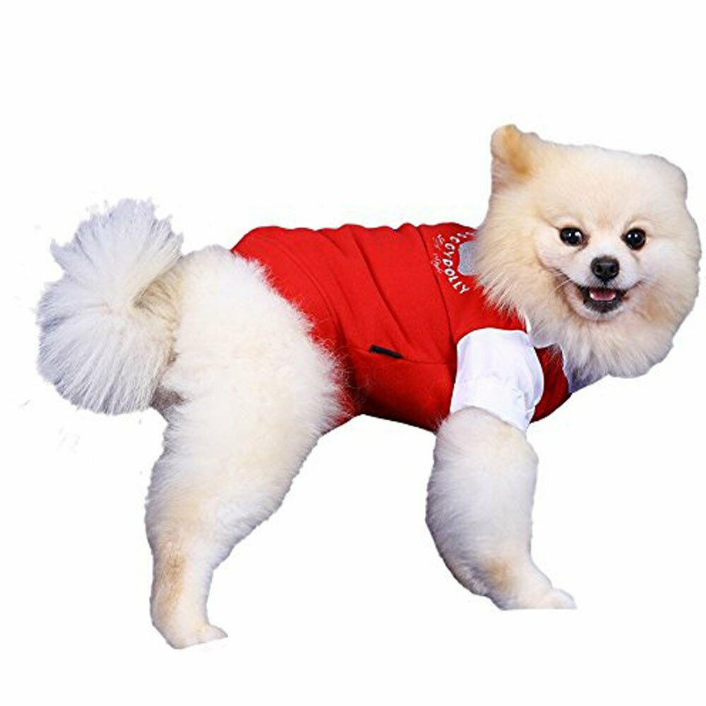Modern red dog sweaters warm fleece
