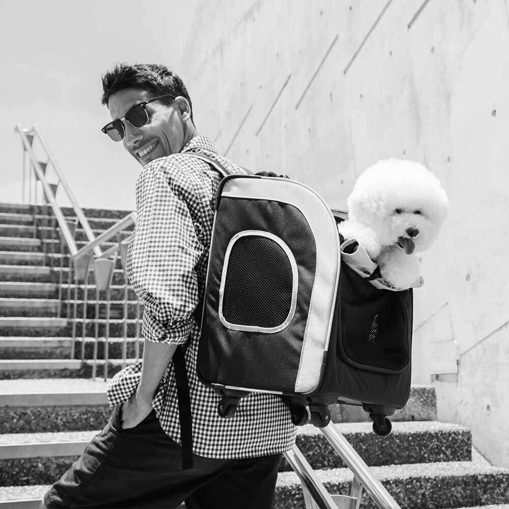 Innovative dog backpack and dog trolley recommended by GogiPet