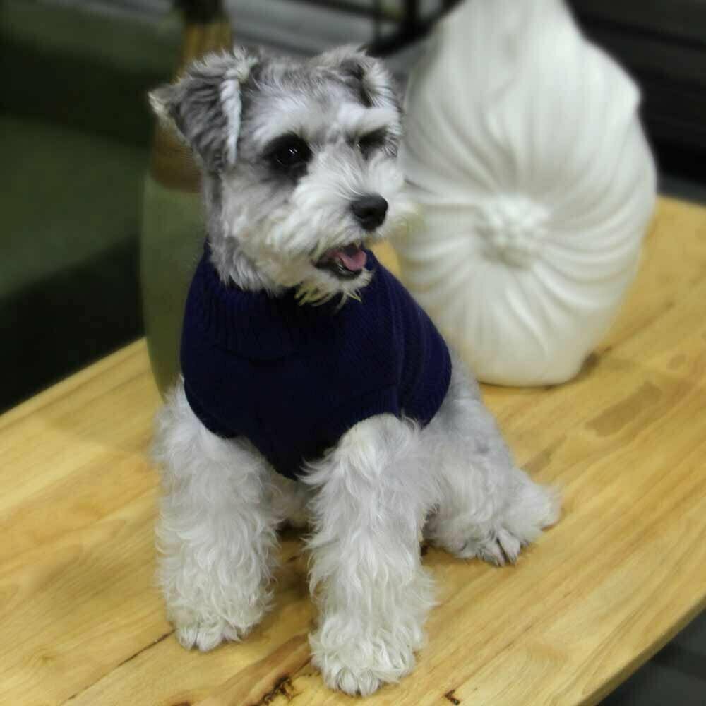 Warm dog sweater - knit sweater "Rachel" blue