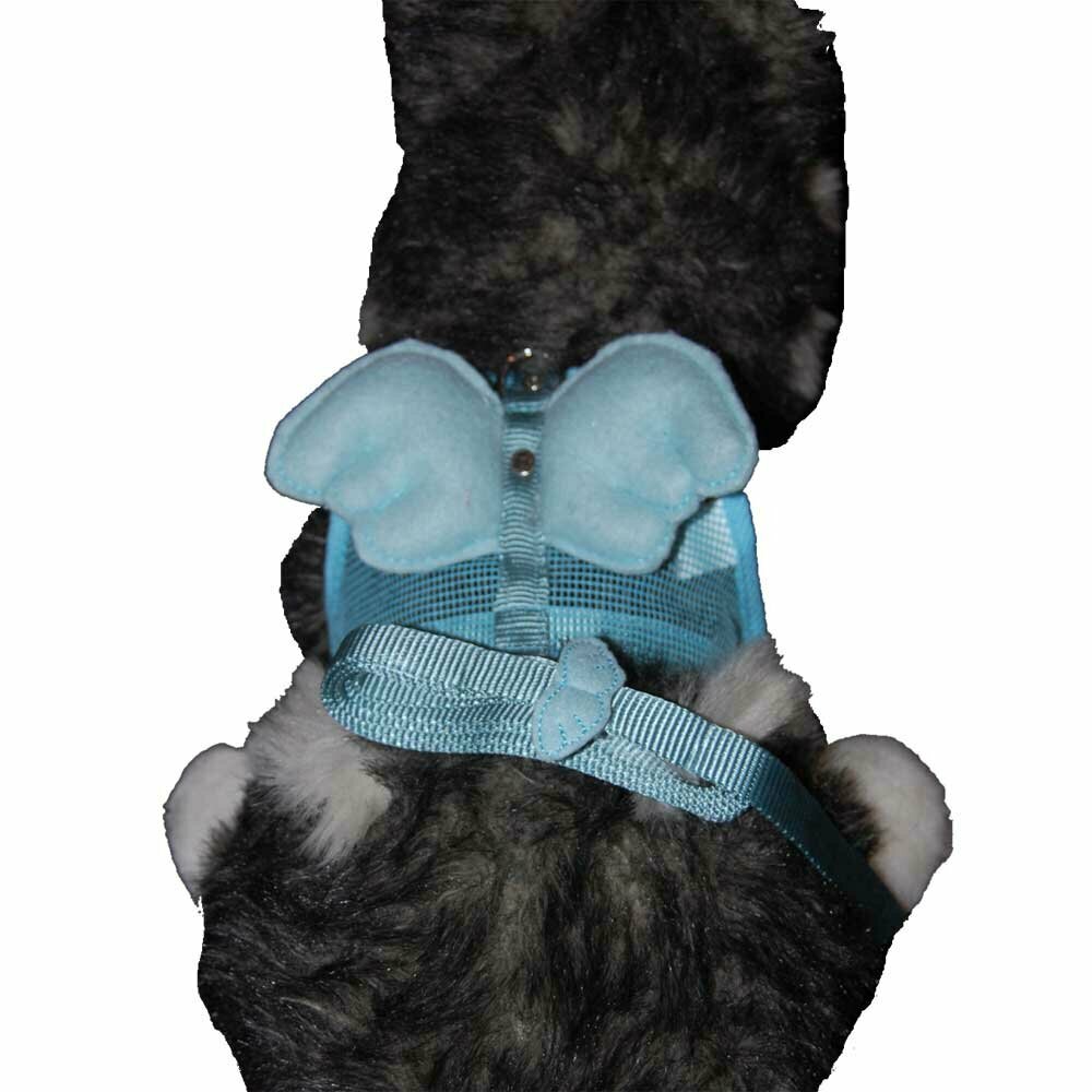 blue wing harness for small dogs of GogiPet ® Size S