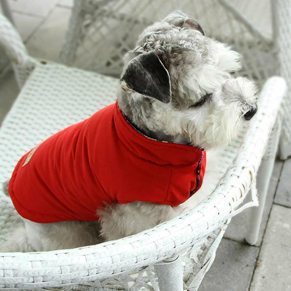 Warm dog coat - red windjacket