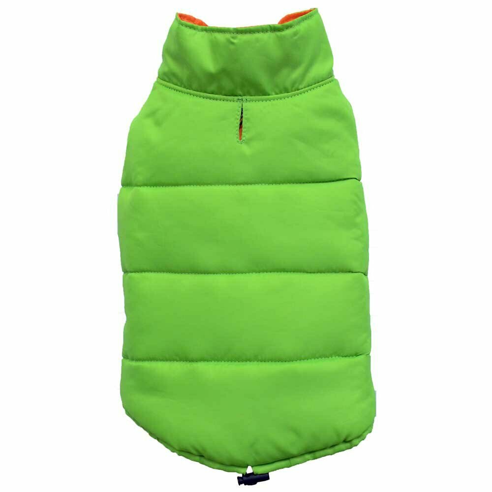 warm dog jacket - green dog anorak