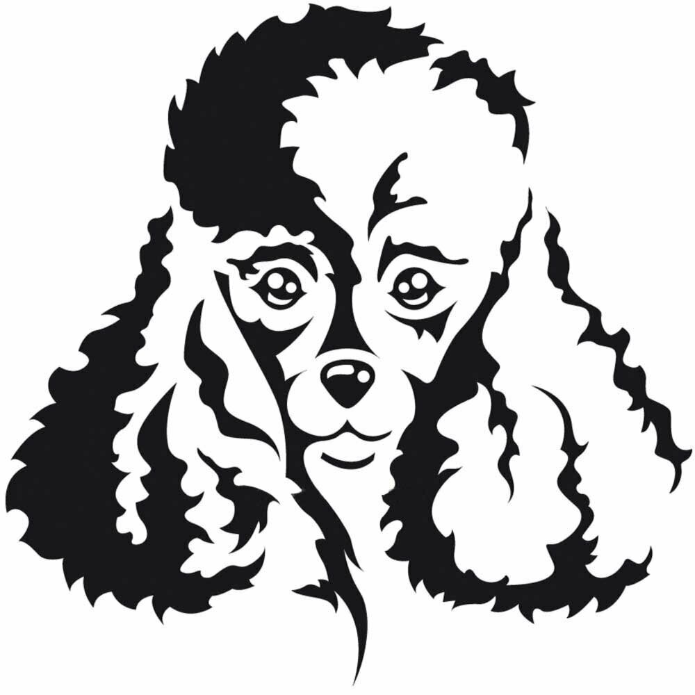 Dog sticker poodle for the groomer or the car  