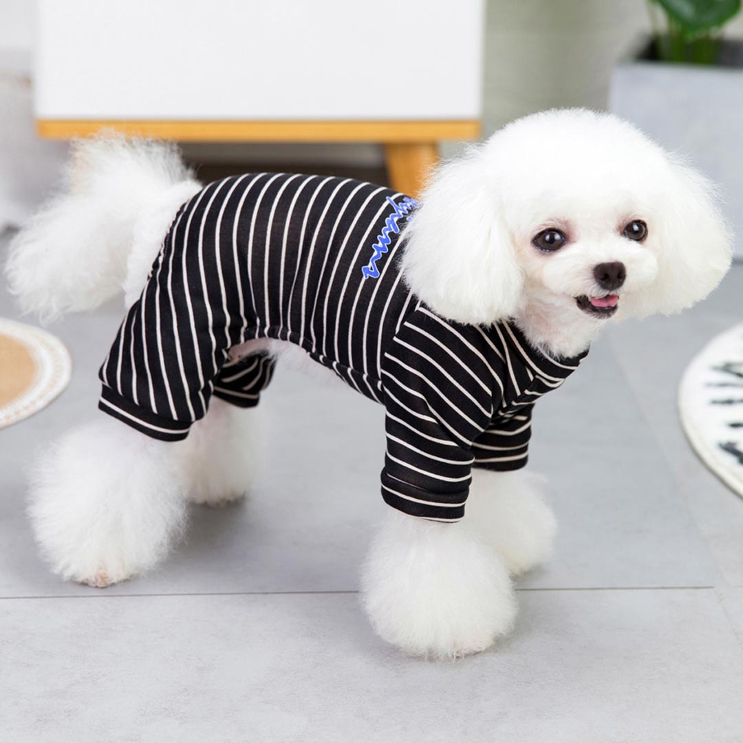 Modern Black Leggings for Dogs with White Stripes