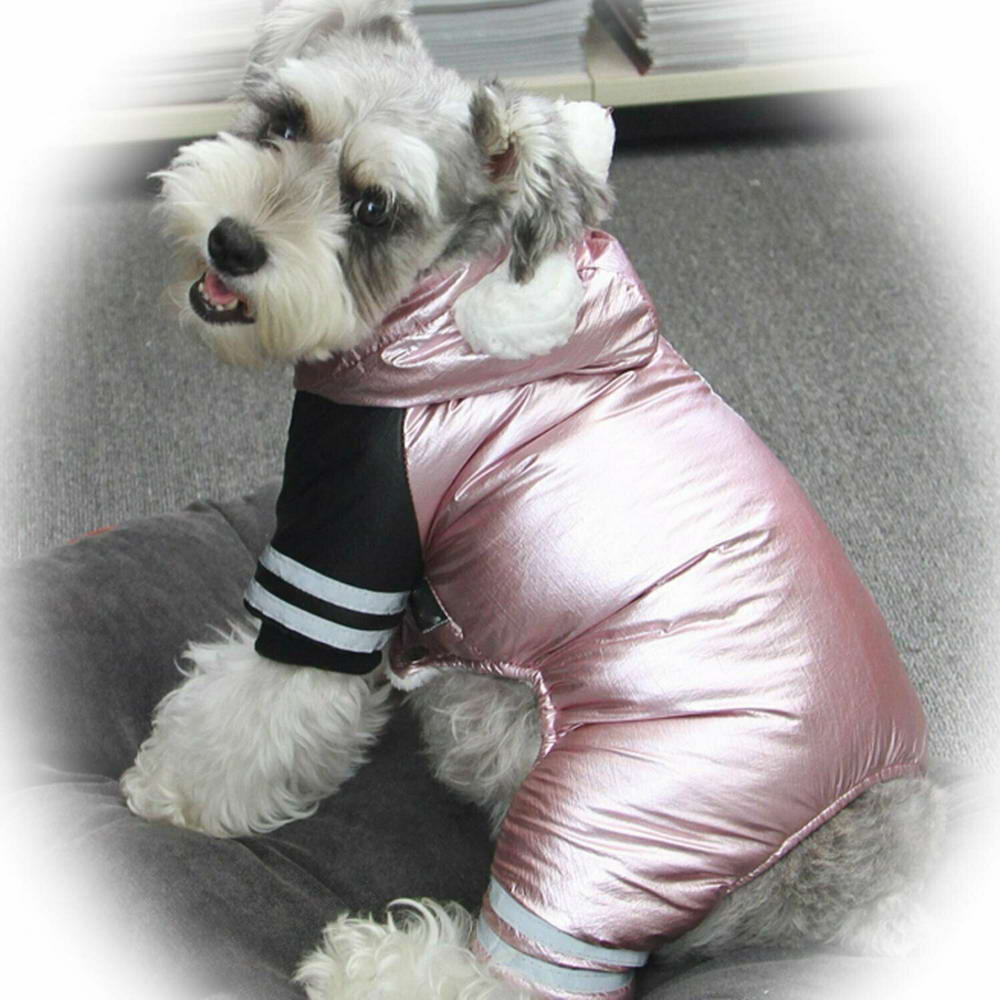 Snowsuits for dogs - warm dog clothes