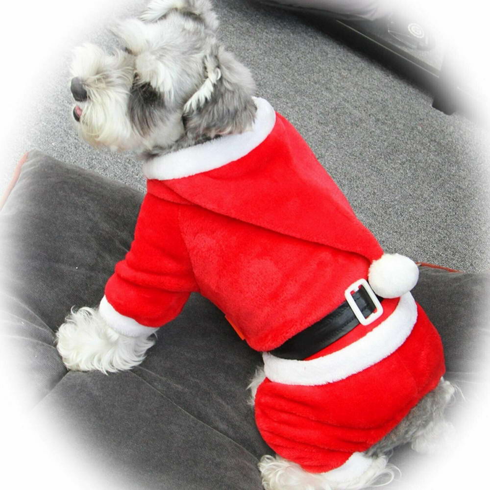 Santa Clause costume for dogs
