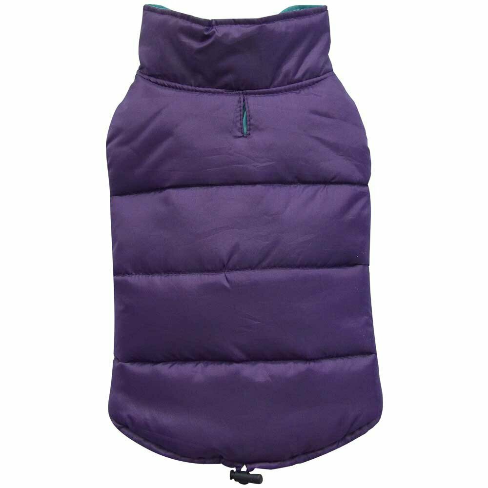 Normal Purple - Purple dog anorak for winter - dog clothes
