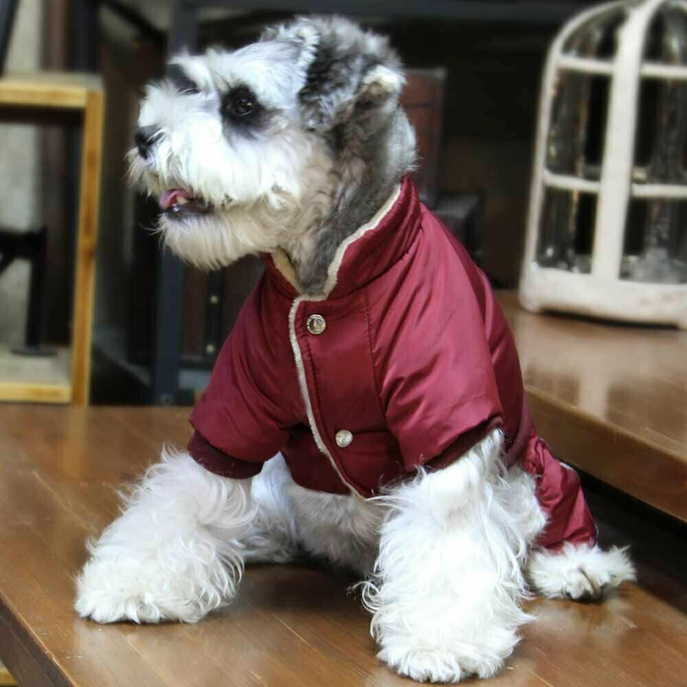Warm snow suit for dogs red