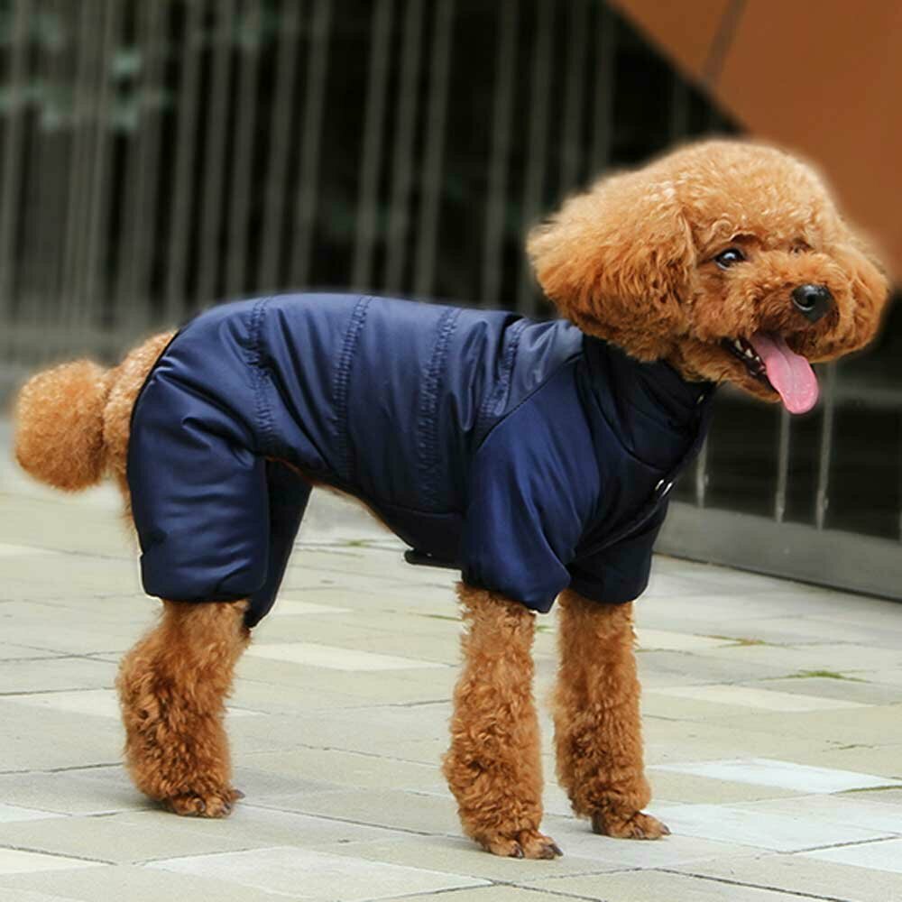 Blue snow suit the extra warm dog gown