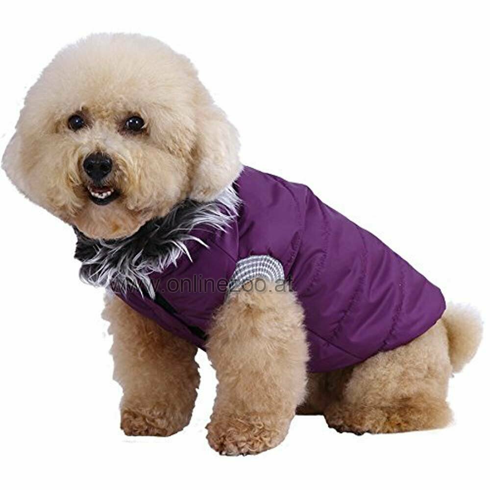 DoggyDolly W167 - purple dog anorak 