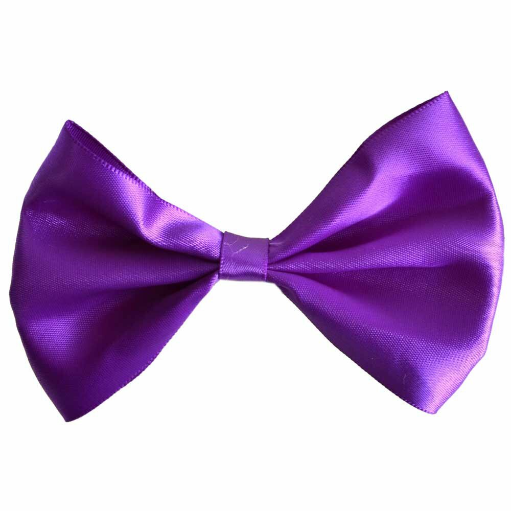 Violet bow tie for dogs by GogiPet®