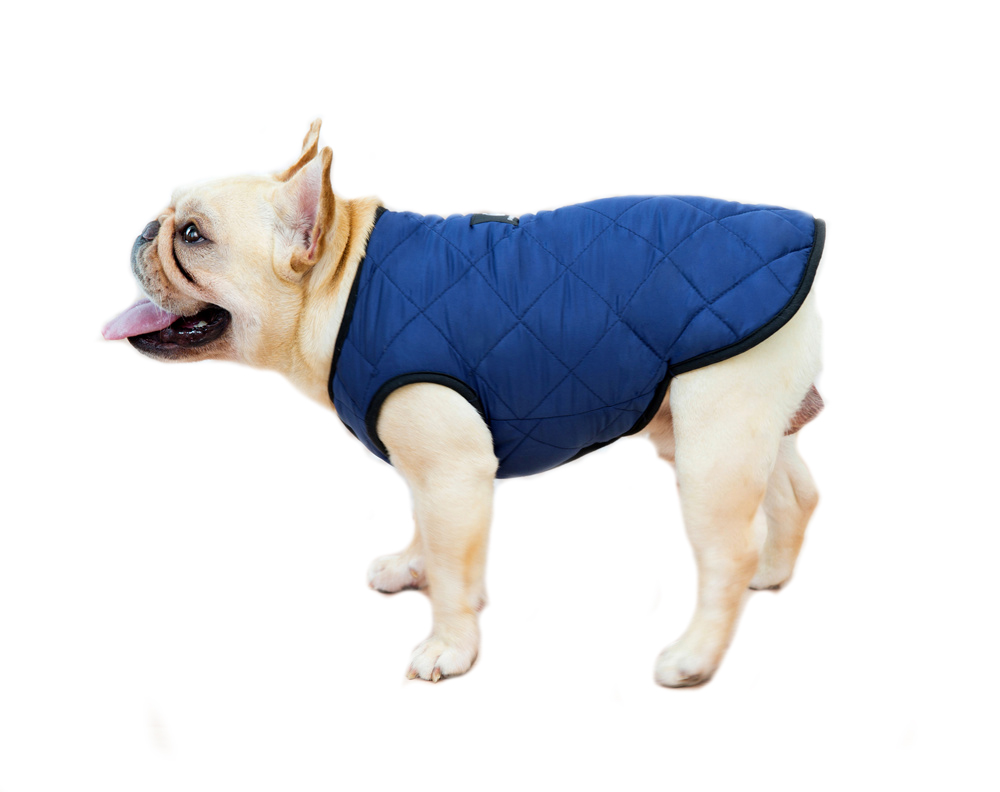 Dark Blue Dog Parka - Warm Lined Winter Dog Coat