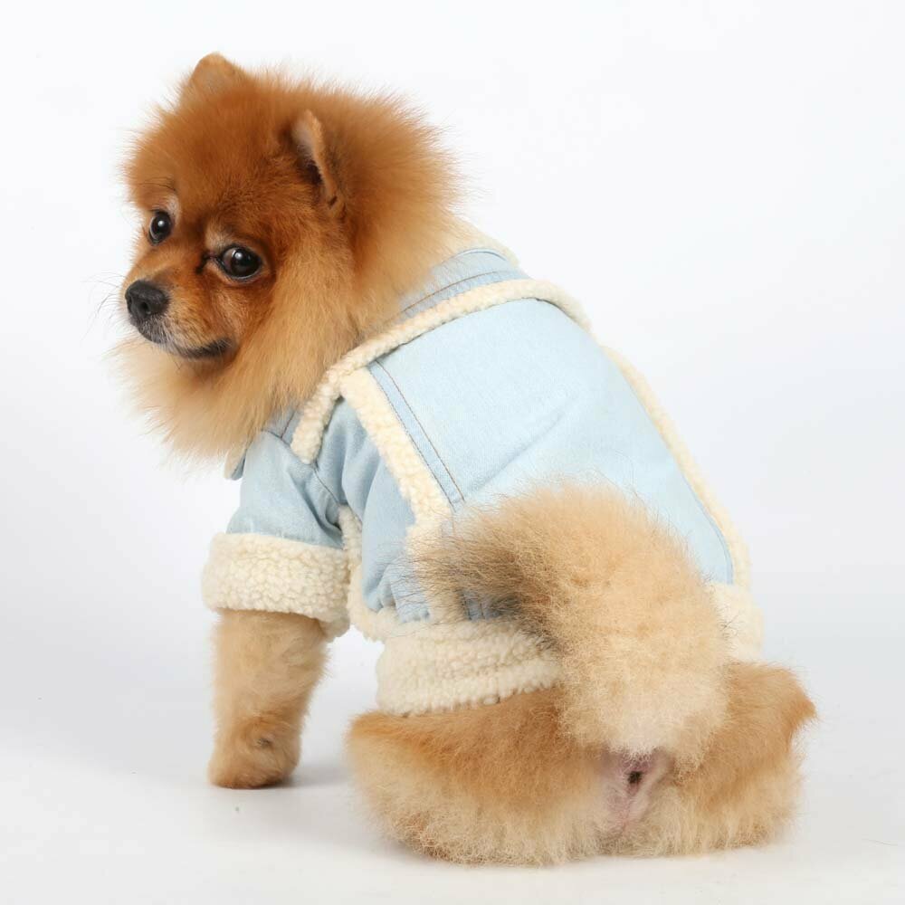 Denim jeans dog jacket, well fed from DoggyDolly DF003