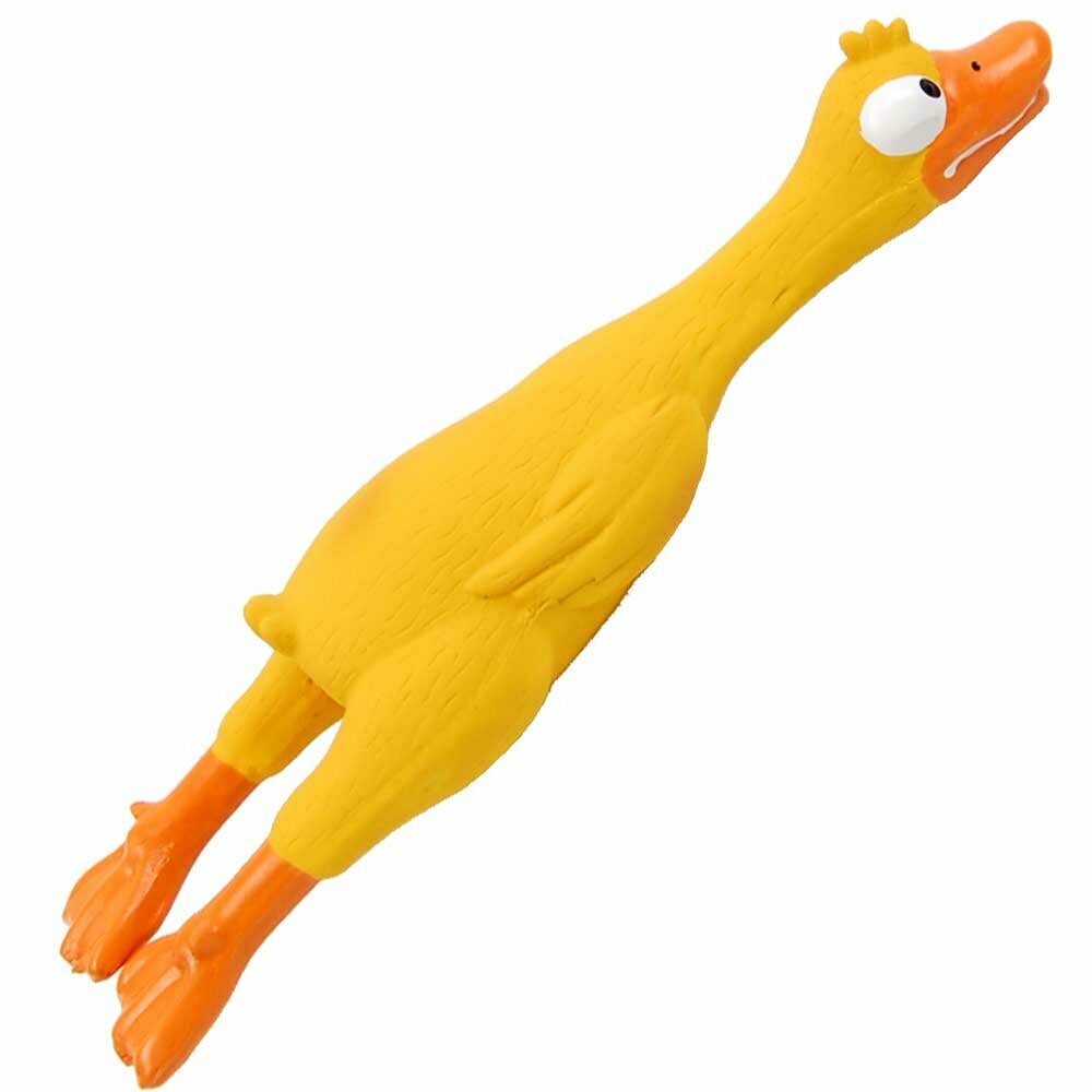rubber duckie for dogs - dog toy