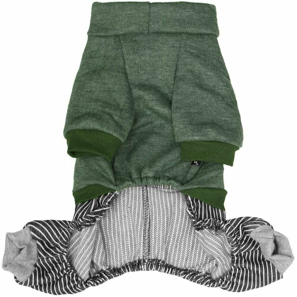 Warm overall for dogs - Green Supercar dog clothes