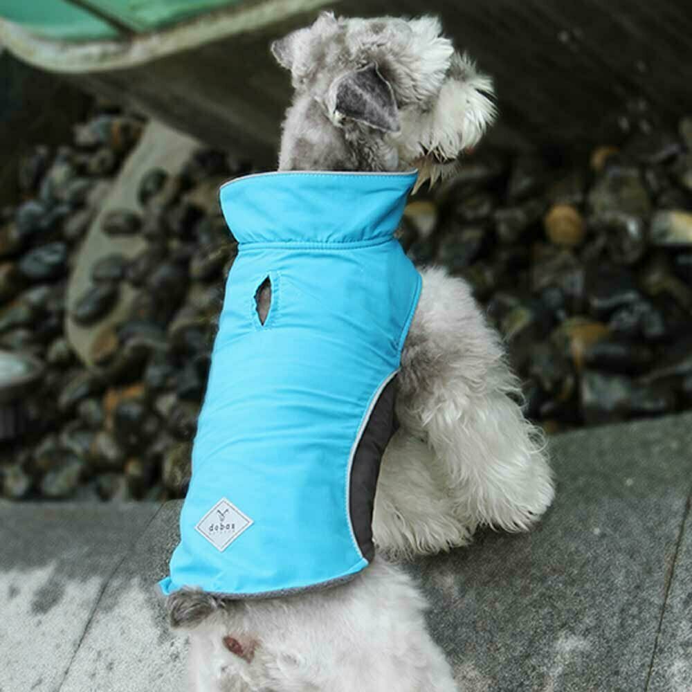 Blue parka for dogs