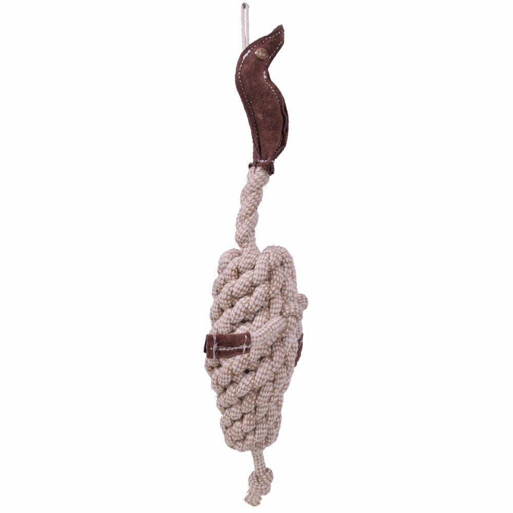 Dental rope bird dog toys from GogiPet ®
