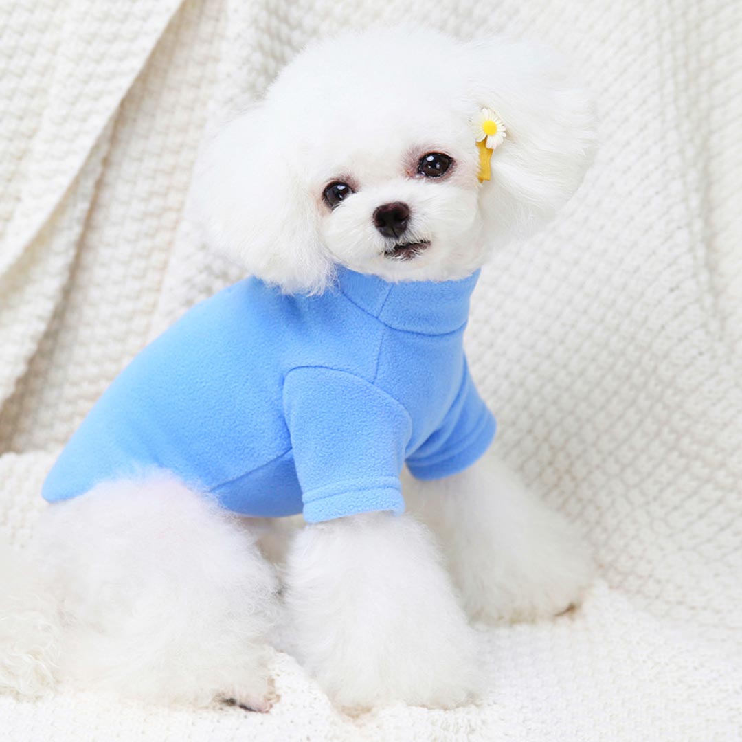 Cosy warm dog pullover - Blue teddy jumper