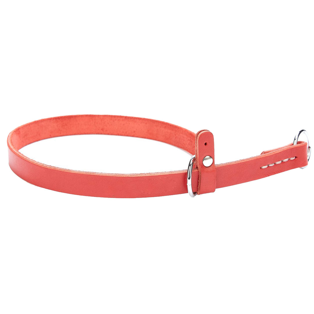 Red genuine leather dog collar