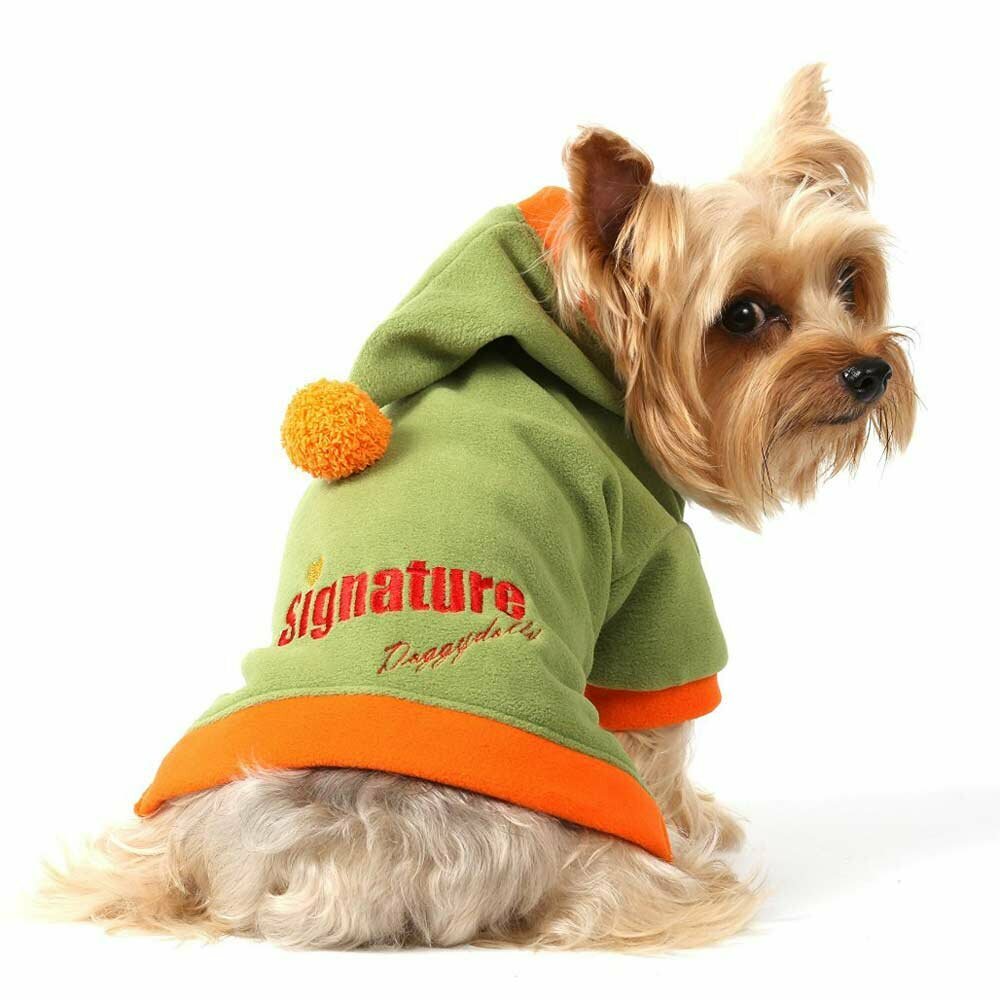 Green dog sweater with hood from warm fleece