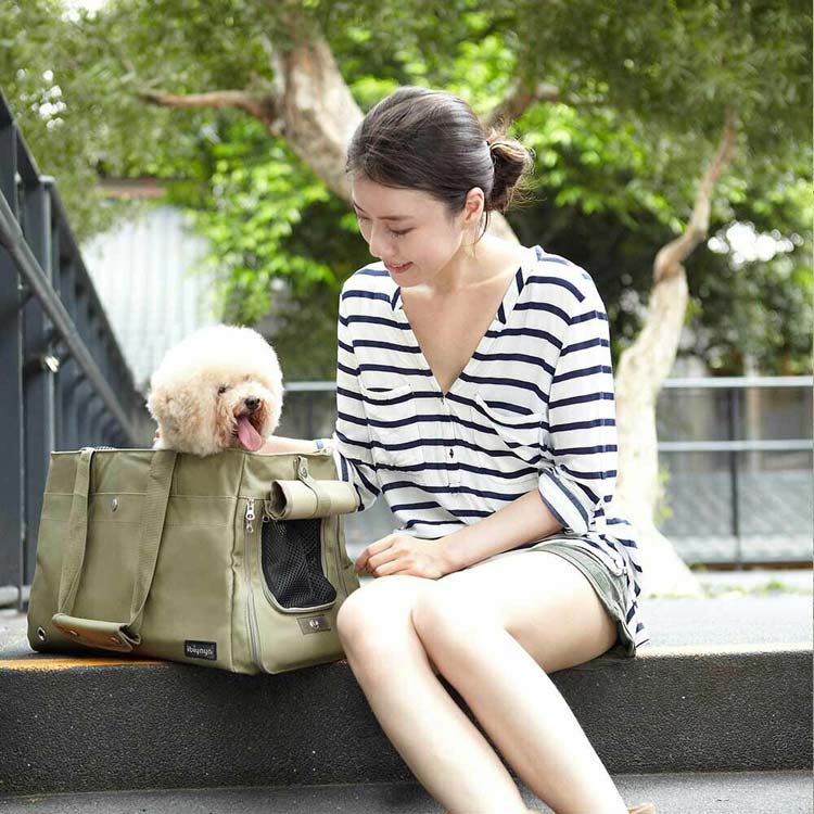 GogiPet recommended brand dog carrier