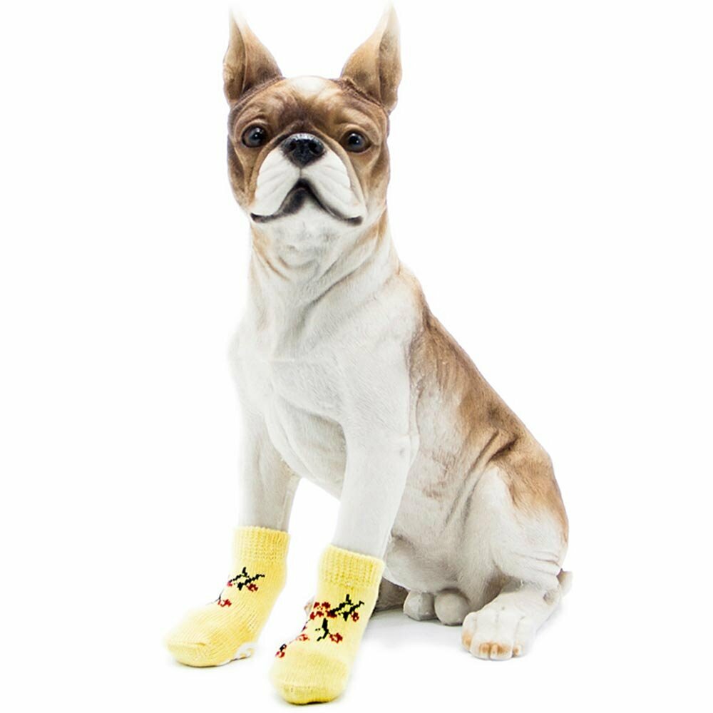 Buy high quality pet socks from GogiPet