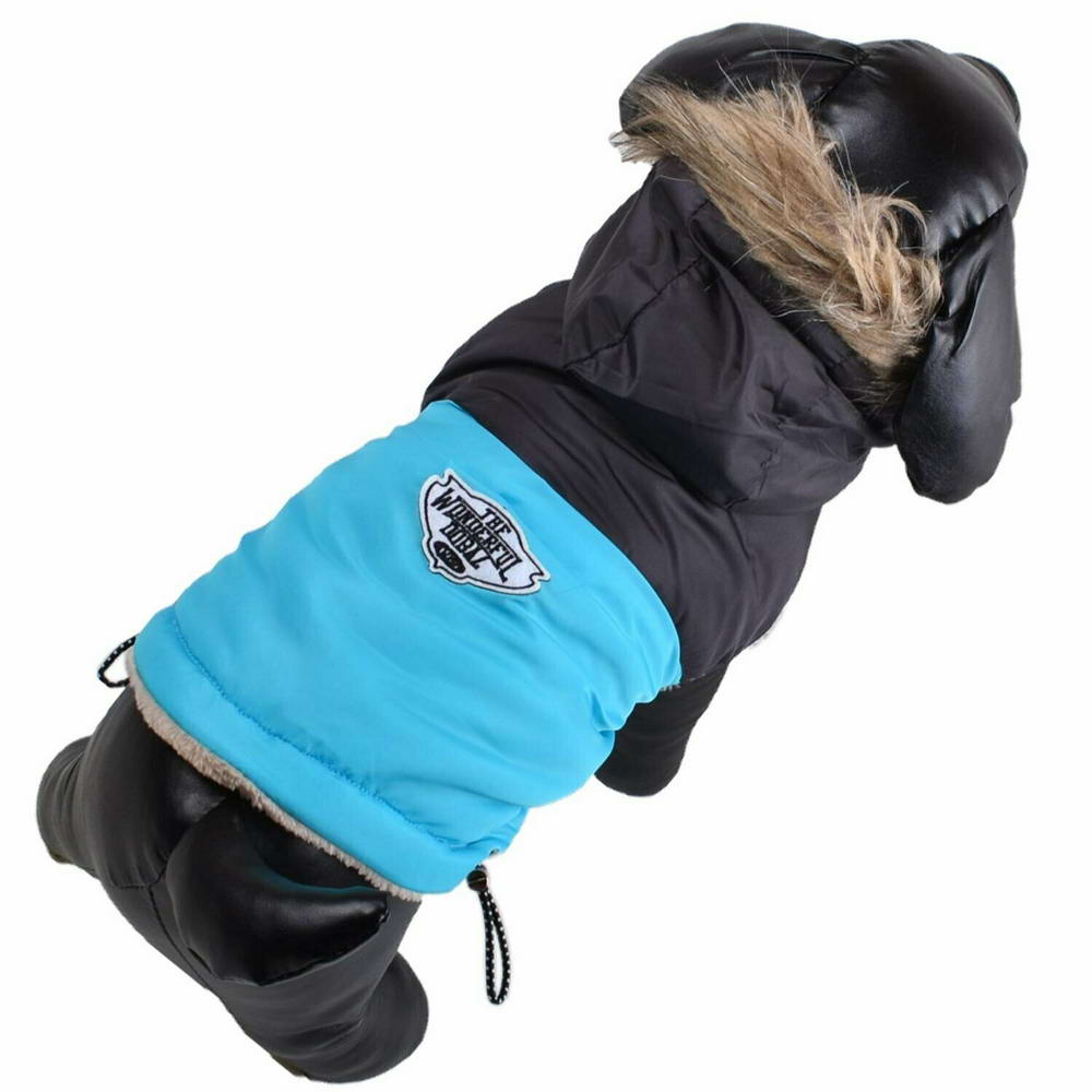 Warm anorak for dogs - Dog clothing