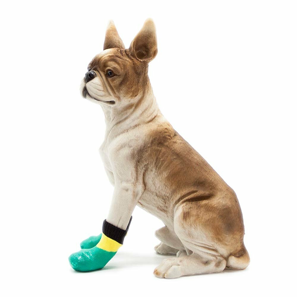 Rubber boots for dogs - green shoes