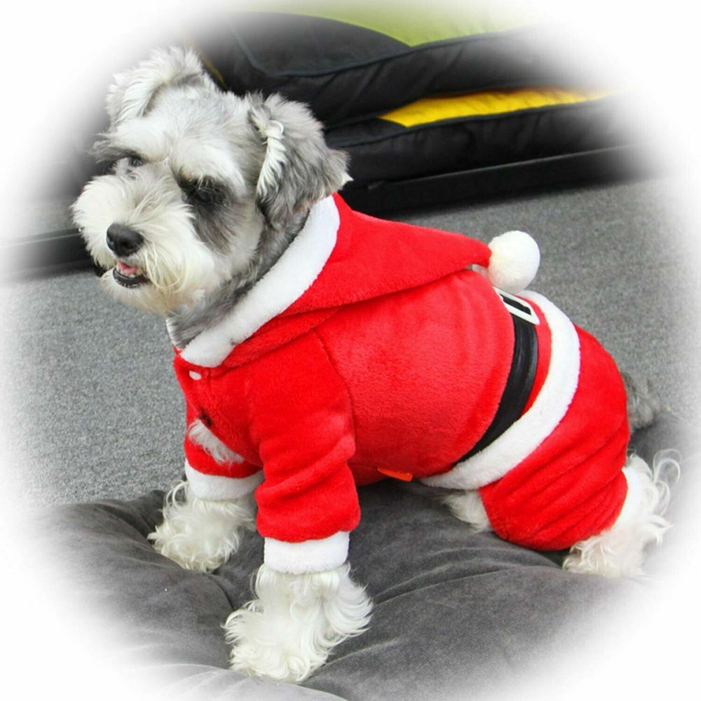 Christmas coat for dogs