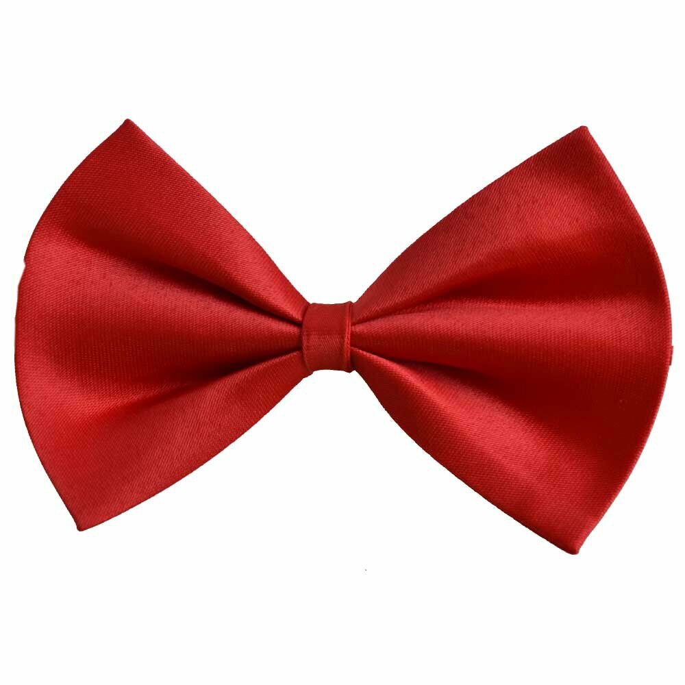 Bow tie for dogs red by GogiPet®