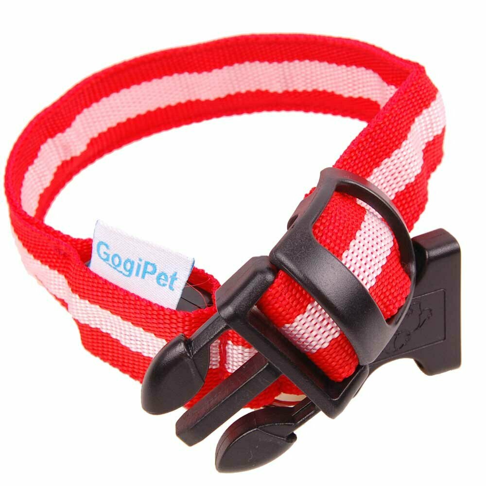 Red flash collar with LED light - Cheap collars of GogiPet ®
