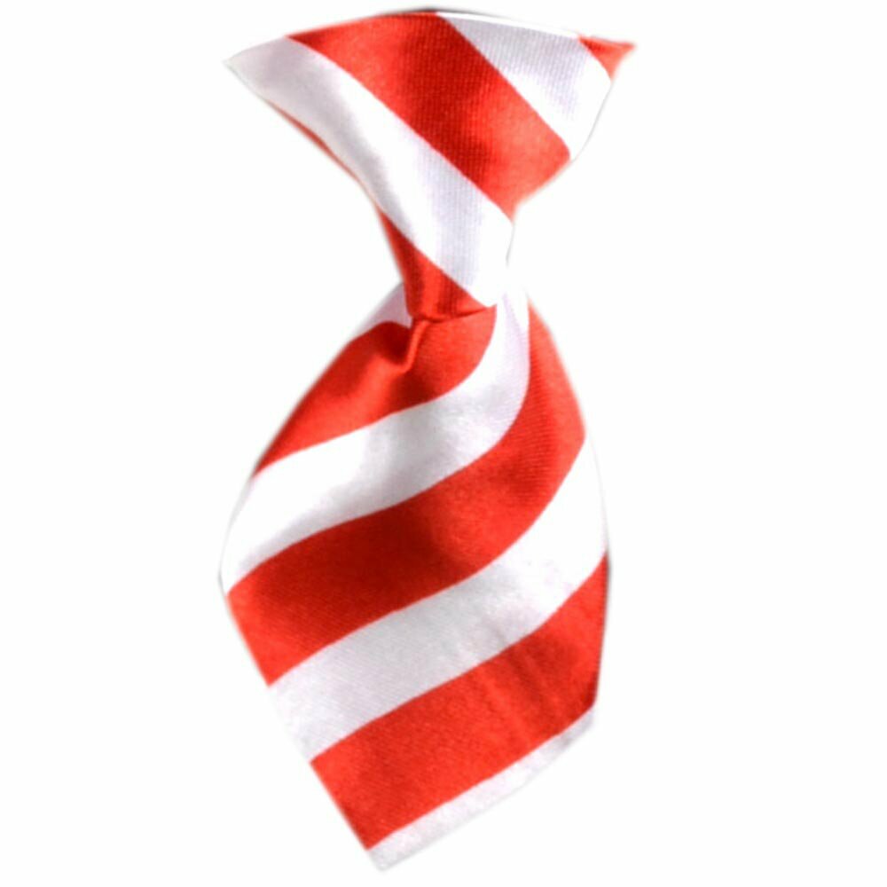 Dog tie red, white striped