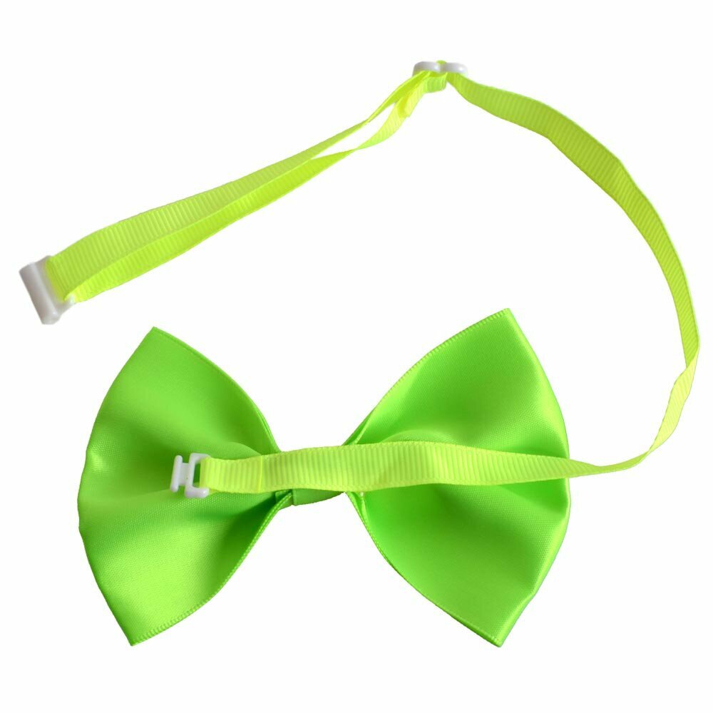 Lightgreen bow tie for dogs as fast binder