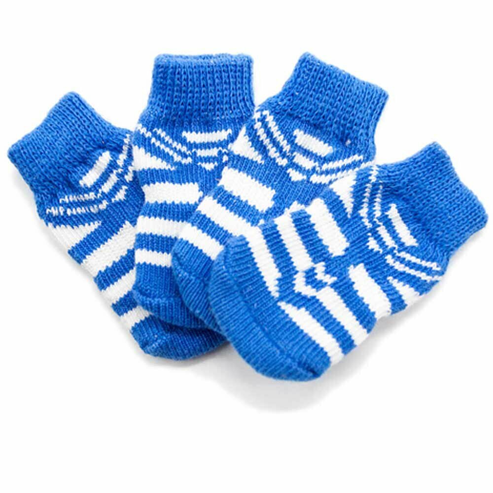 Light blue dog socks in 4 pack with anti-slip coating