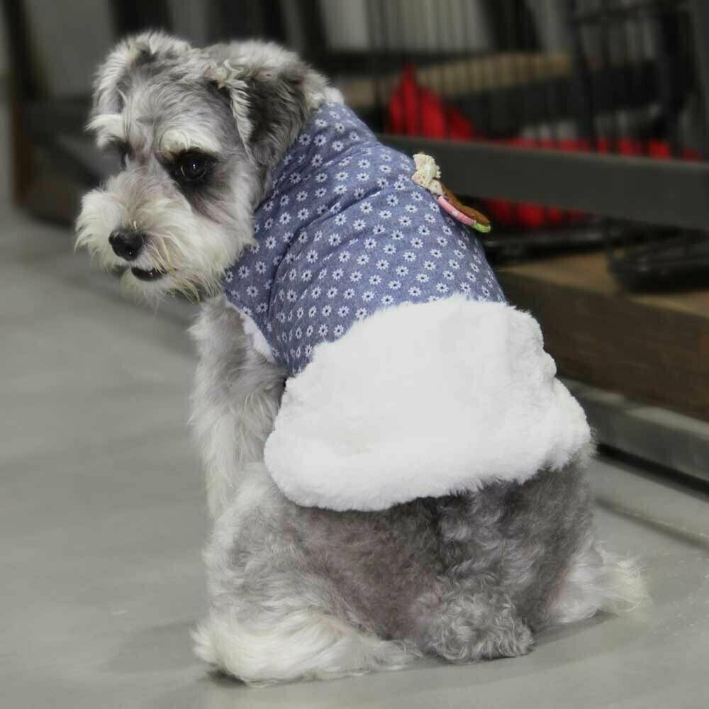 High quality warm dog clothes from GogiPet
