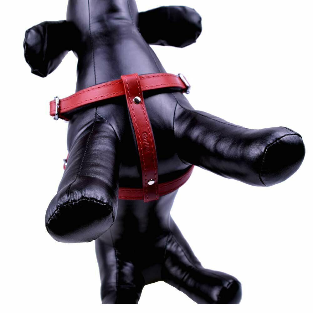Handmade leather dog harness red