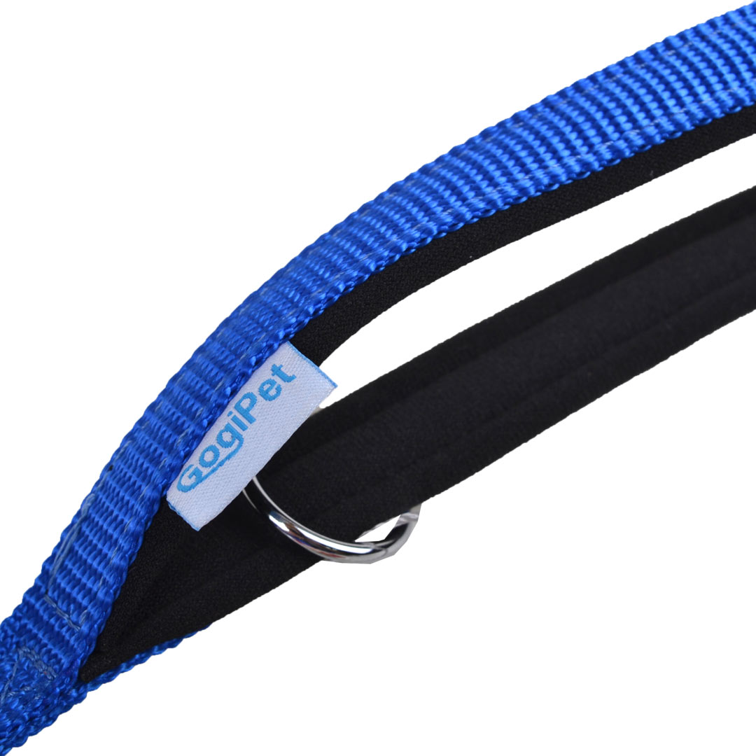 Blue dog leash with padded handle