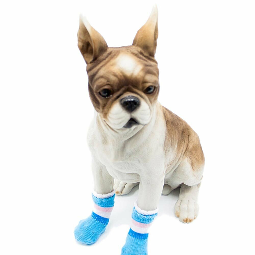 Light blue high dog sockes in 4 pack with anti-slip coating