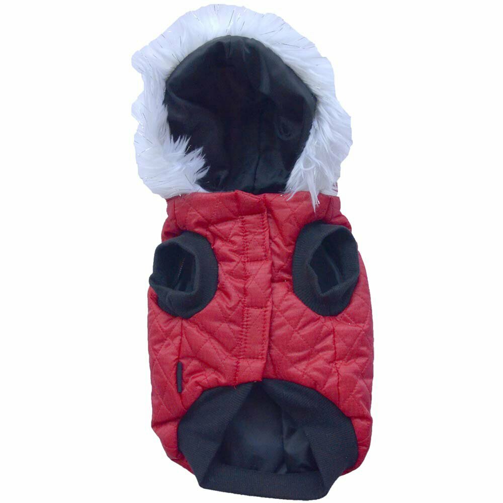 red dog coat of DoggyDolly - warm quilt jacket for dogs with hood and white fur border of DoggyDolly W042