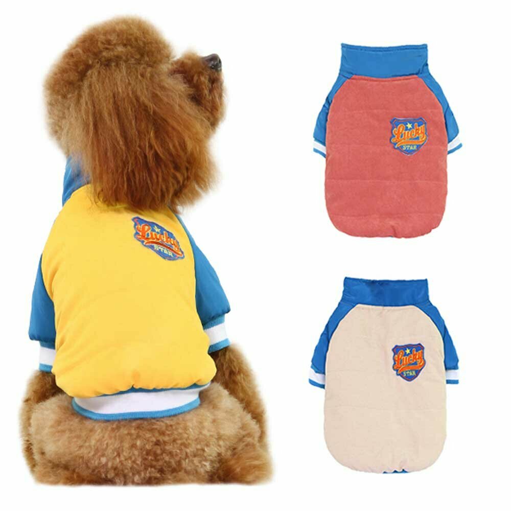 GogiPet ® Sports jackets for dogs - hot dog clothes for winter