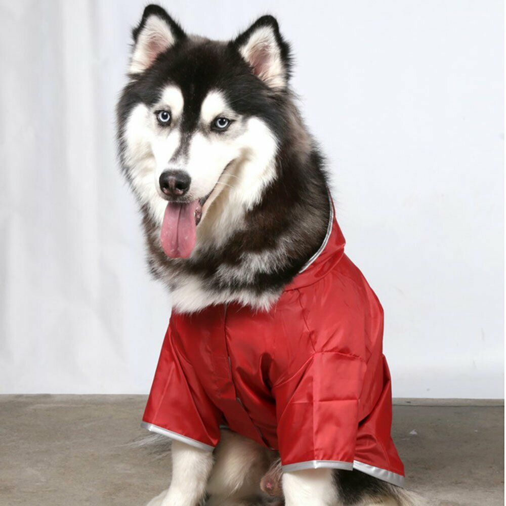 Big Dog raincoat for large dogs by DoggyDolly