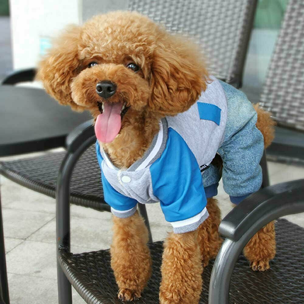 Warm sporty dog clothes made of high quality cotton