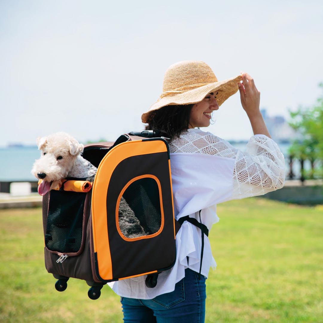 Stylish dog backpack and dog trolley