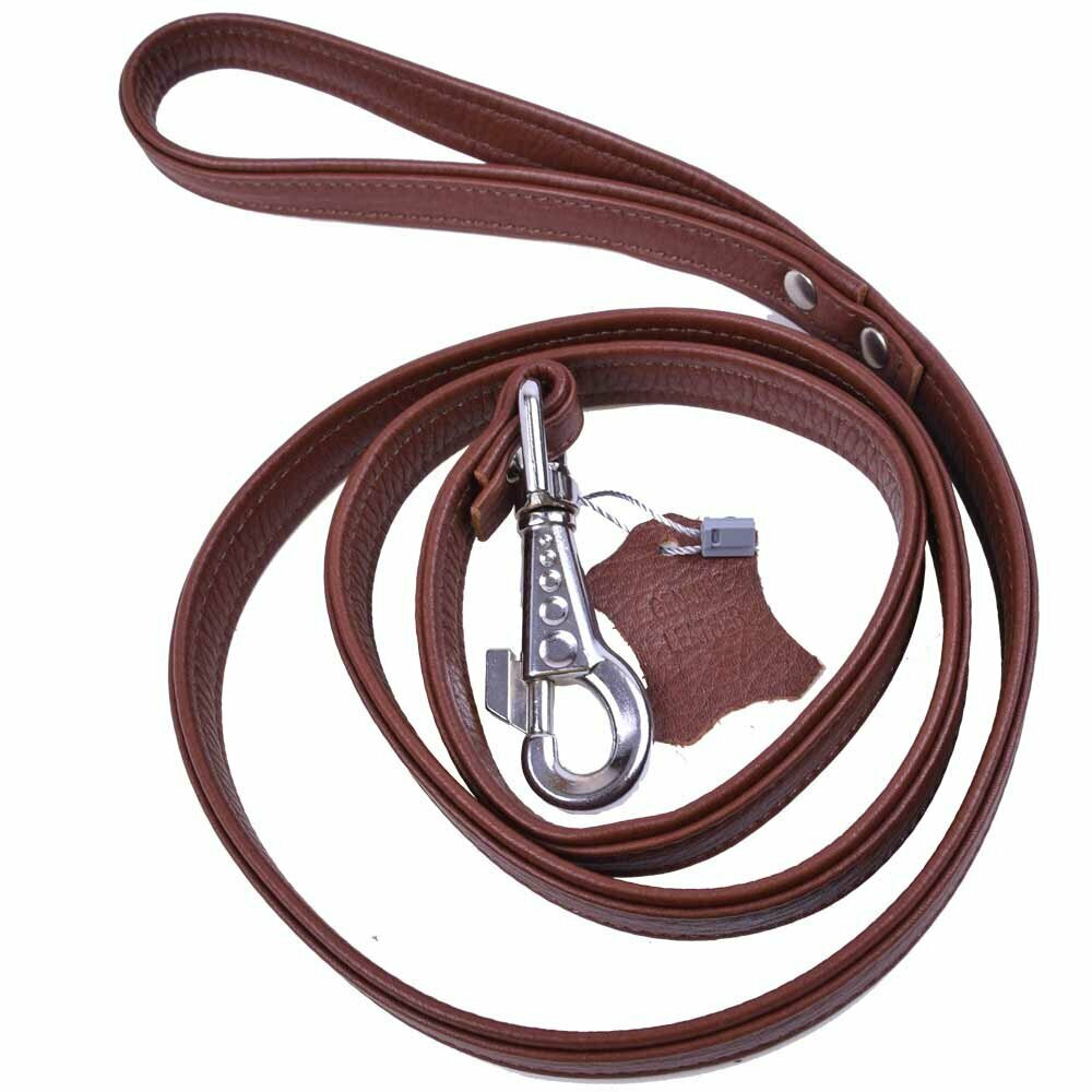 Brown dog leash in elegant floater leather