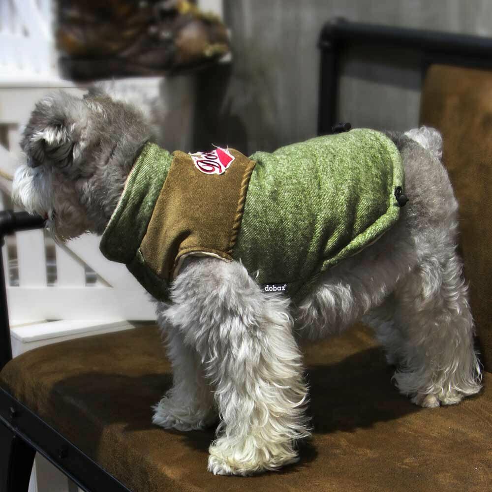 Good, cheap dog clothes from GogiPet