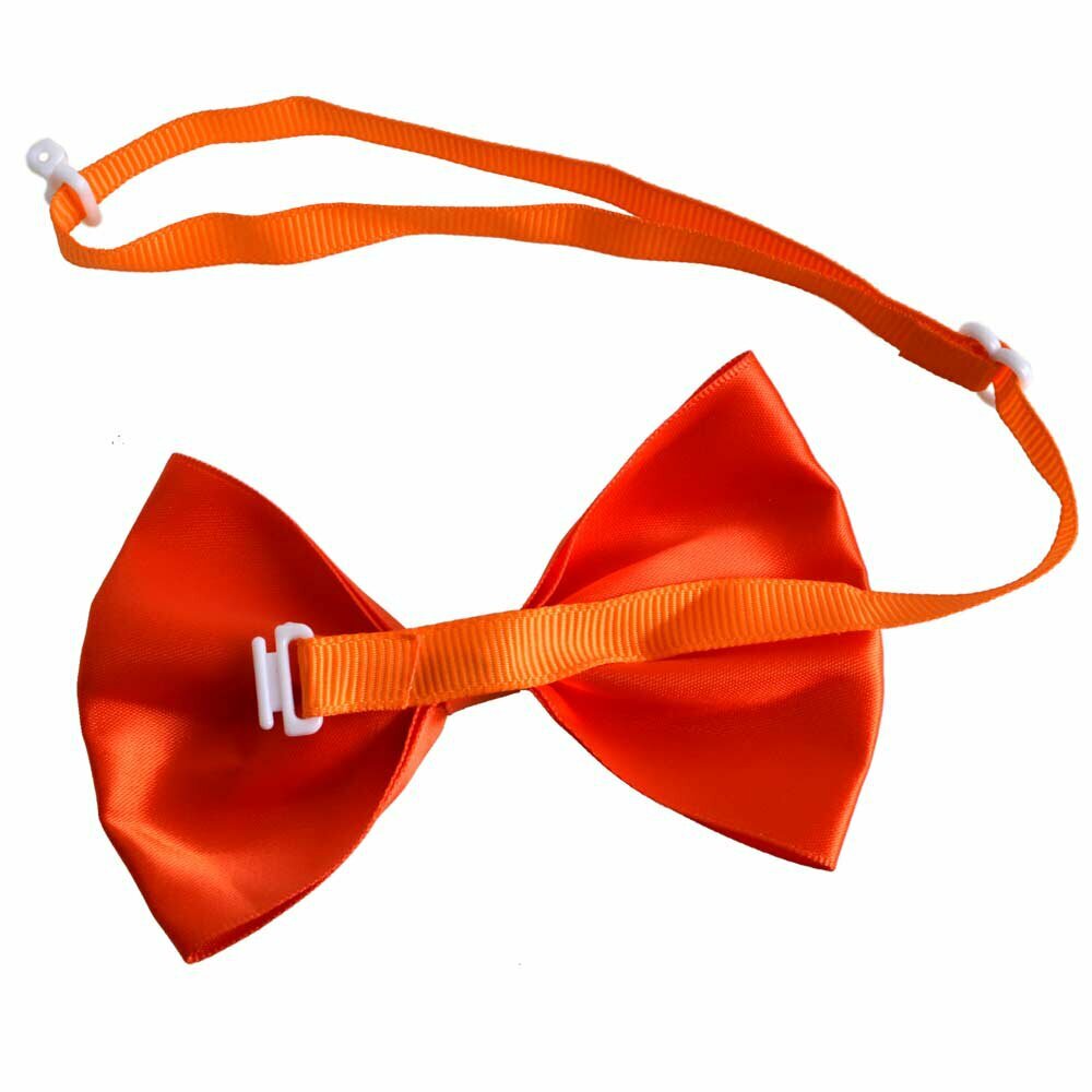 Orange dog bow tie with quick release