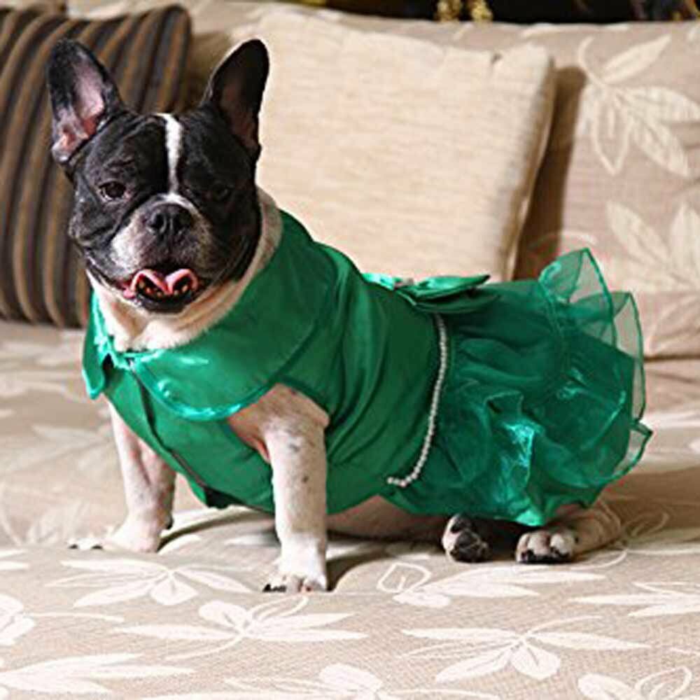 DoggyDolly Green Peral Luxury Dress for Pugs
