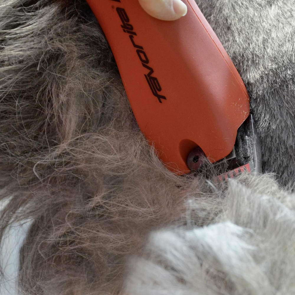 Powerful dog clipper without cable Aesculap Favorita CL