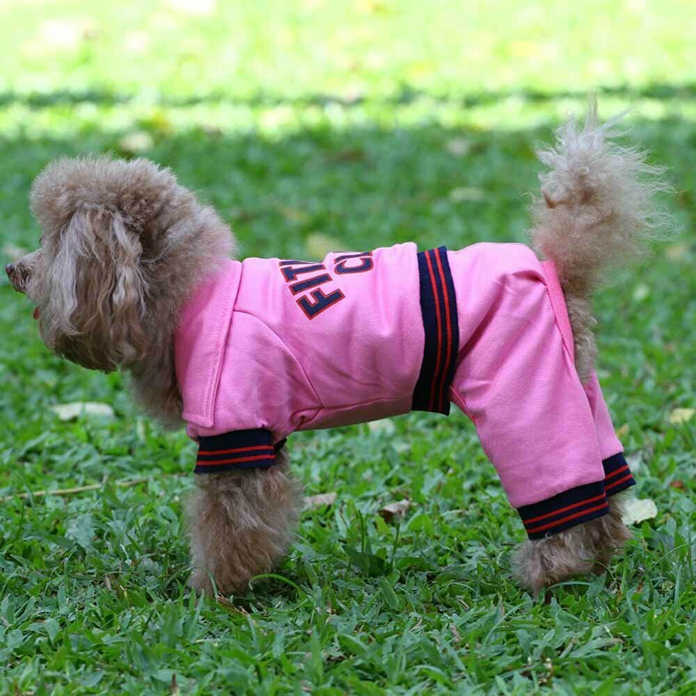 Modern tracksuit for dog pink