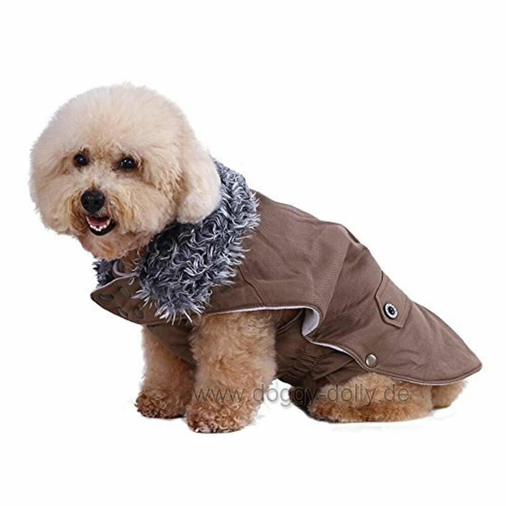 warm dog coat for pampered dog
